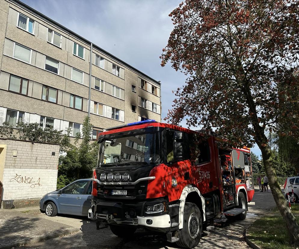 Zawinił przedłużacz? Prokuratura wyjaśnia przyczynę porannego pożaru 