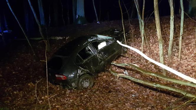 Kierowca z drogi i wjechał do rowu. Potrzebna była interwencja straży pożarnej