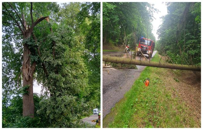 Wichura w warmińsko-mazurskim. Konar drzewa spadł na samochody, wiatr zerwał dach z budynku [ZDJĘCIA]