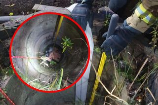 Lis i pies wtulone w siebie na dnie studni! Wyglądały, jakby się wspierały w trudnej sytuacji [ZDJĘCIA]