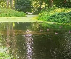 Ohlsdorfer Friedhof w Hamburgu