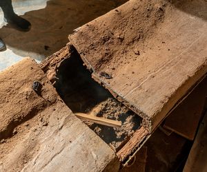 Odkryto trumny z krypt w Kazimierzu Biskupim