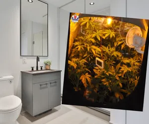 Wielofunkcyjna łazienka w domu 27-latka. Dobra do kąpieli i hodowania marihuany 
