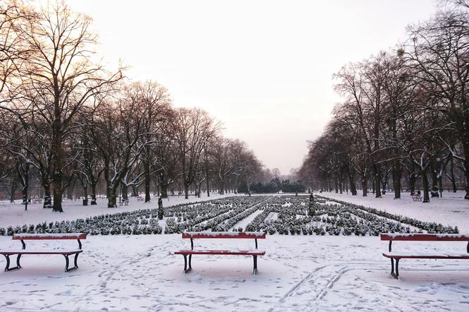 Kto by nie chciał, żeby w Święta było tak biało...