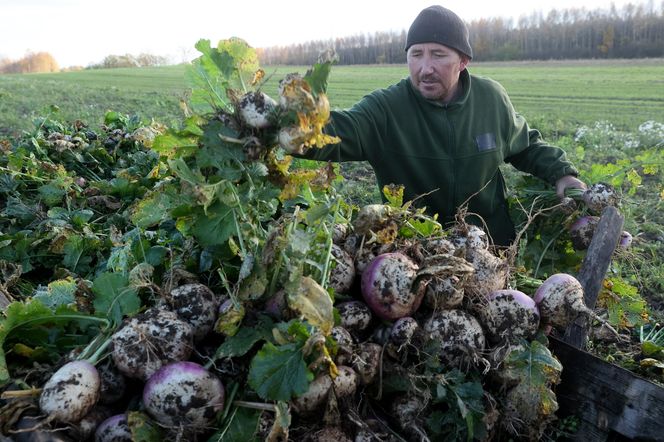 Rolnicy Podlasie. Andrzej z Plutycz oraz jego gospodarstwo