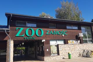 Zamość: ZOOchowuj się! Jesteś gościem w domu zwierząt