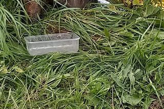 Uratowany z błota i samotności. Strażacy z Dłutowa pokazali wielkie serca