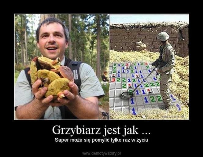 Trwa sezon na grzyby! Oto najlepsze memy o grzybiarzach!