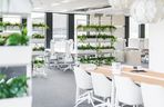 Showroom IKEA w Katowicach to jedyne takie miejsce w Polsce