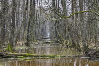 Trwa remont zabytkowego pałacu w Sztynorcie. Na jakim etapie są prace?