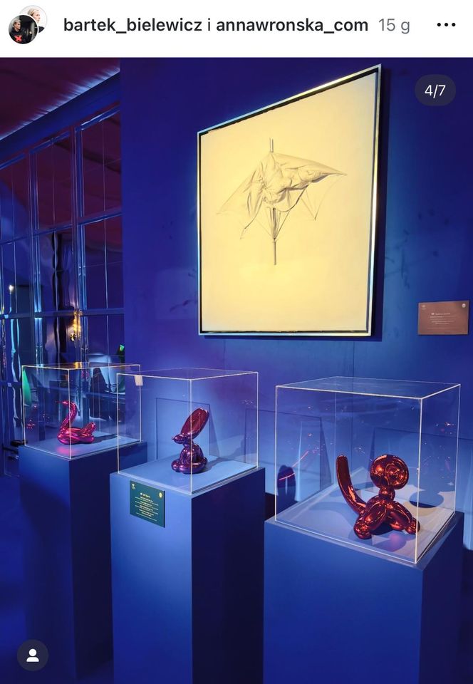 Ależ to był bal! Omenaa Mensah iRafal Brzoska: kulisy wielkiej gali