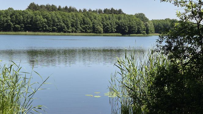 To jedno z największych jezior w Olsztynie. Kusi turystów piaszczystymi plażami