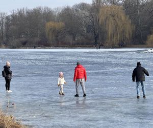 Skrajna nieodpowiedzialność. Spacerują po płytkim lodzie z dziećmi i psami. Dramat na Pradze-Południe w Warszawie