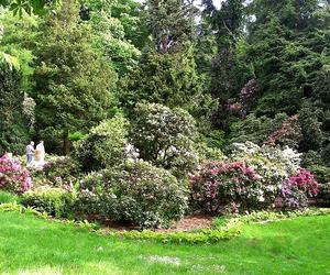 Arboretum Wojsławice - zdjęcia. Kiedy jechać?