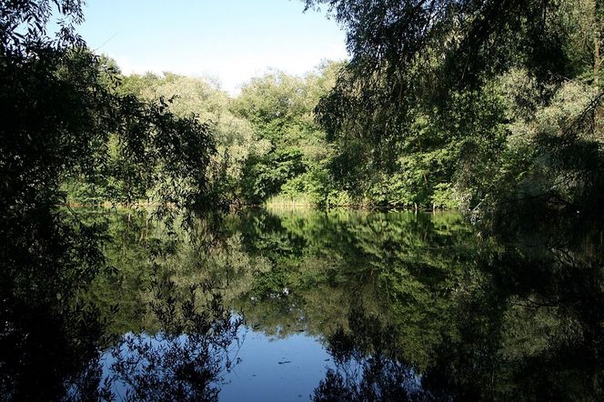 Świerczewo