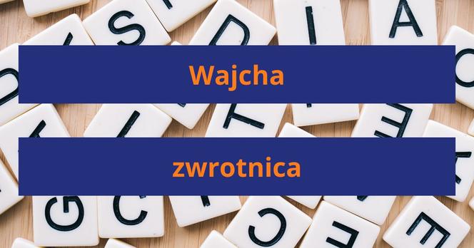 Słownik gwary poznańskiej - znasz najważniejsze słowa?