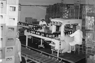 Mazowieckie Zakłady Przetwórstwa Owocowo-Warzywnego w Tarczynie (1976 r.)