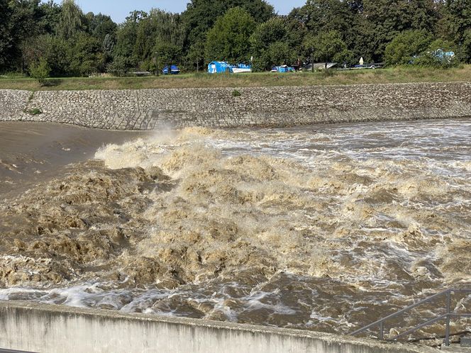 Jaz Szczytnicki we Wrocławiu coraz bardziej wypełniony. Do Wrocławia zbliża się fala ZDJĘCIA