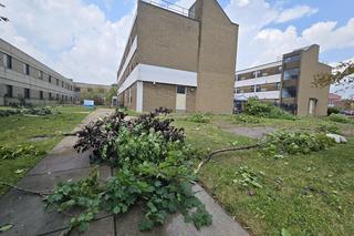 Tornado przeszło przez centrum Buffalo. Są nagrania!