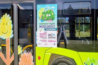 Poprowadzimy tramwaj, dostaniemy nasiona i zagramy w grę
