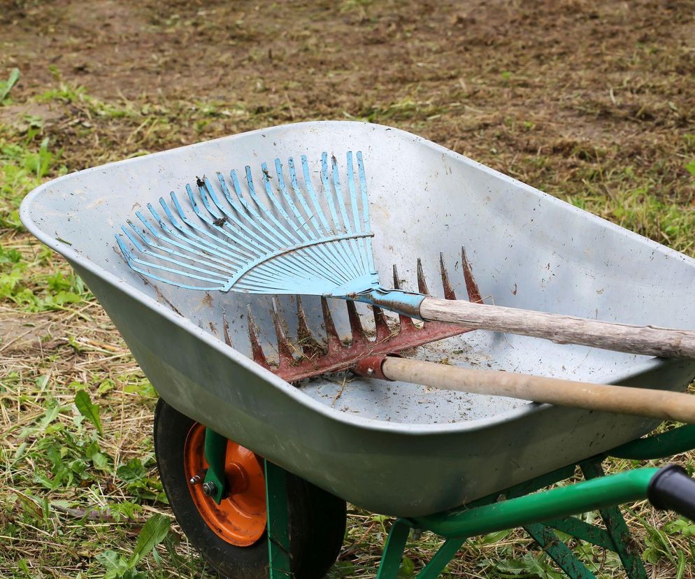 Jak zabezpieczyć narzędzia ogrodnicze na zimę?