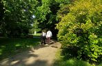 Park Miejski w Zamościu