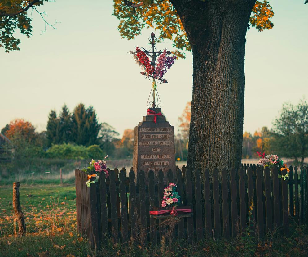 To największa wieś w woj. lubelskim! Znajduje się niedaleko Lublina 