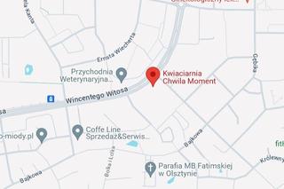 Najlepsze kwiaciarnie w Olsztynie. Gdzie kupić kwiaty na Dzień Kobiet? Te miejsca polecają mieszkańcy