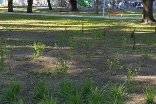 Park Jonstona gotowy, ale nadal zamknięty dla mieszkańców