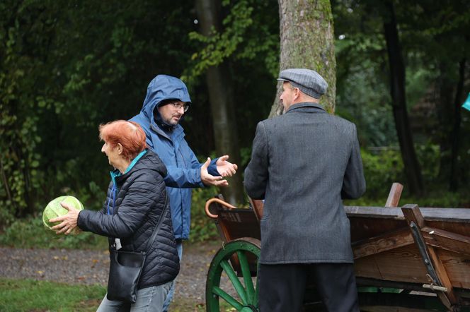 Tak ongiś siekano kapustę w woj. lubelskim. „Obieraczki kapuściane” w Muzeum Wsi Lubelskiej