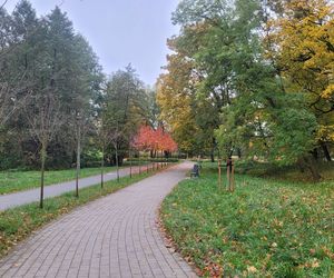 To najpiękniejszy park miejski w Olsztynie według AI. Zajmuje niemal 13 hektarów!