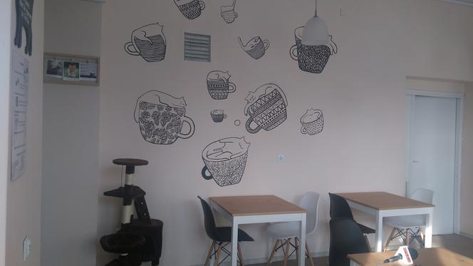Kot Cafe