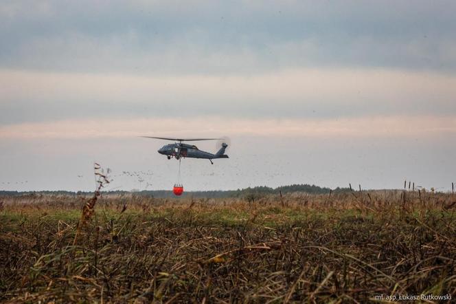 Pożar w Biebrzańskim Parku Narodowym [ZDJĘCIA]