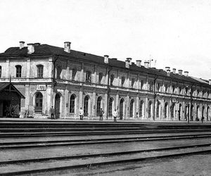 Łapy