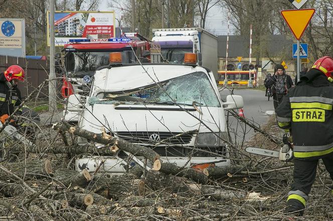 Pogodowe szaleństwo. Wichury do 160 km/h to nie wszystko!