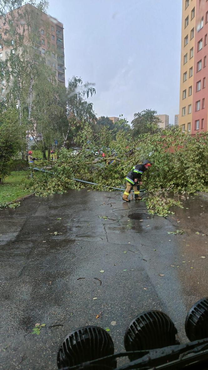 Burze przeszły przez województwo śląskie. Blisko 200 interwencji strażaków. Najwięcej w powiecie raciborskim