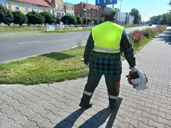 Trawniki w Lesznie wybujały. Koszą prawie codziennie [ZDJĘCIA]