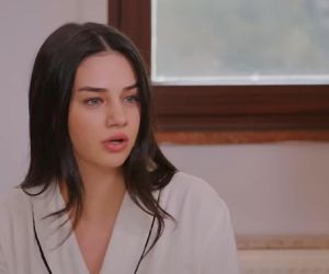 Miłość i nadzieja odc. 278. Bahar, Kuzey