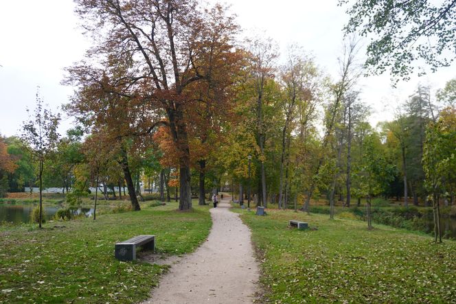 Park Lubomirskich w Białymstoku jesienią 