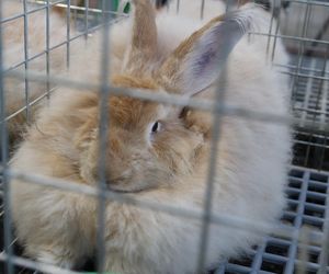 ZooPark ponownie przyciągnął do Targów Lublin tłumy miłośników zwierząt