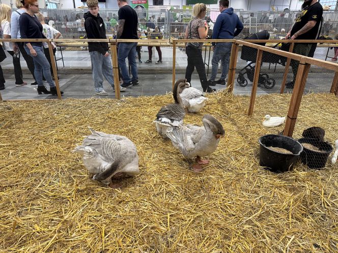 ZooPark w Lublinie. Dzień drugi