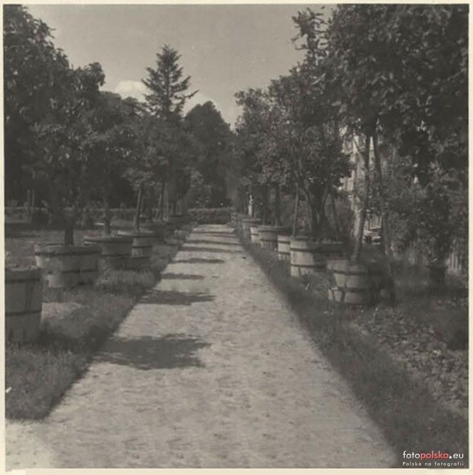 Zespół pałacowo-parkowy Klemensów-Park