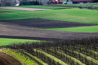 Ponidzie w obiektywie. Zobacz piękne fotografie!