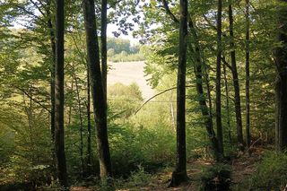 Te miejsca w Trójmieście i okolicach musisz odwiedzić jesienią