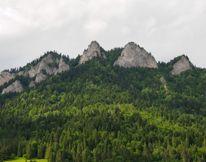 Pieniny Spiskie. Jedna z najmniej znanych część Małopolski kryje niezwykłą historię