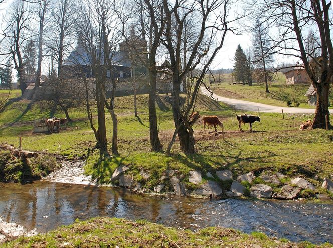 To dawna wieś królewska w Małopolsce. Mieszkał w niej święty męczennik