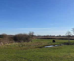 Myśliwy zastrzelił myśliwego. Dusza człowiek. Horror pod Milejowem