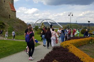 Dzień flagi w Nowym Sączu