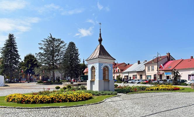 Wielopole Skrzyńskie. Uzyskało lokację miejską przed 1337 rokiem, utraciło prawa miejskie w 1933 roku.