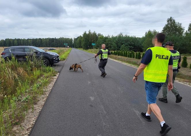 Tajemnicze zaginięcie 30-letniej Jowity. Kobieta wracała z pracy i zniknęła na leśnej drodze